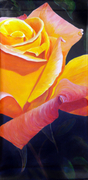 6 Highlights, Shadows, Adjusting Colors