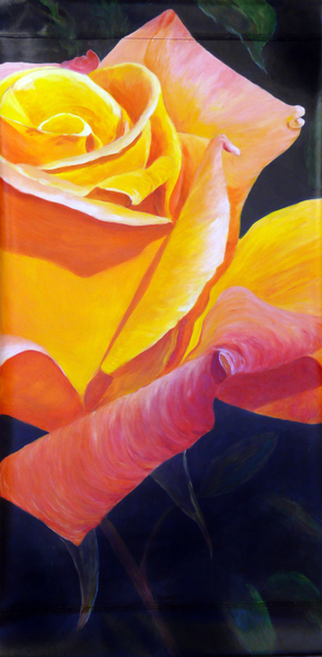 6 Highlights, Shadows, Adjusting Colors